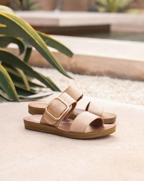 Los Cabos Doti Caramel
