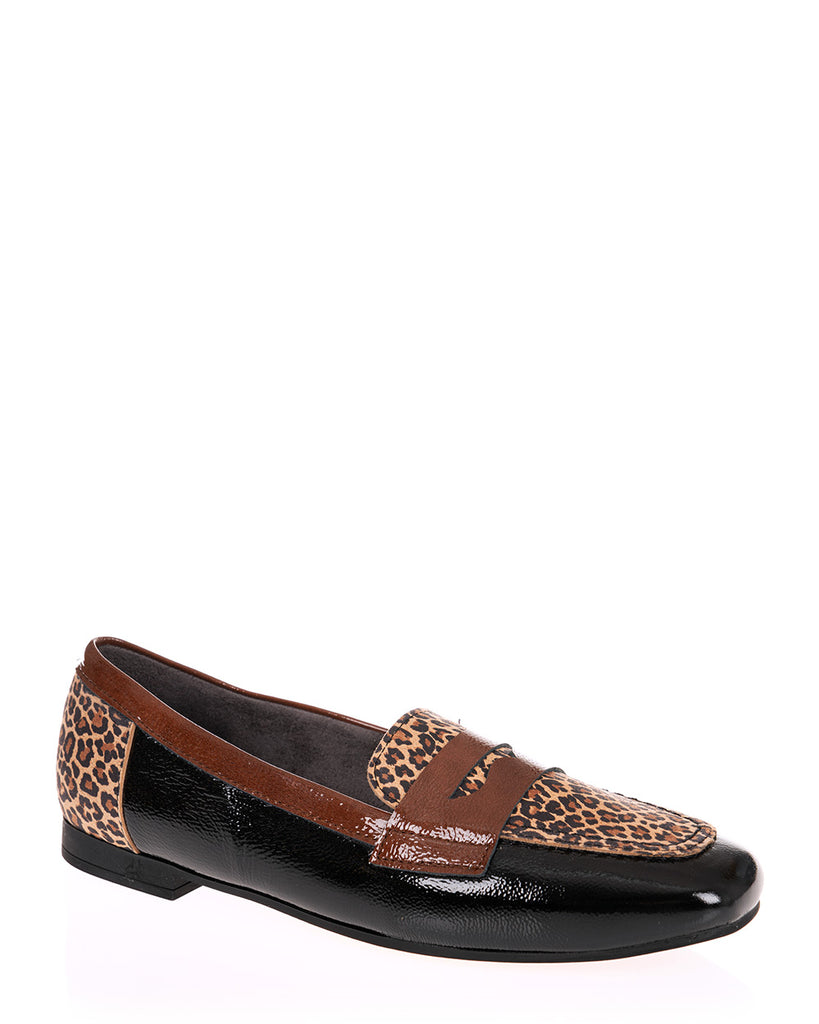 Pitillos 10870 Black Patent & Leopard Print Leather Shoe